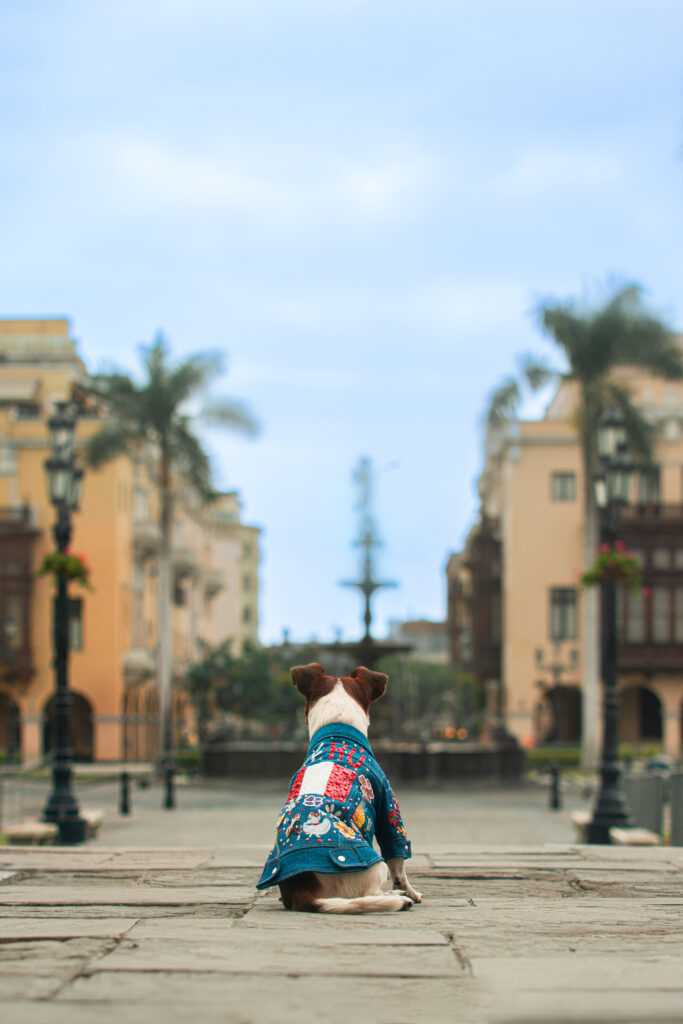 mati-sesion4 (1 of 8)